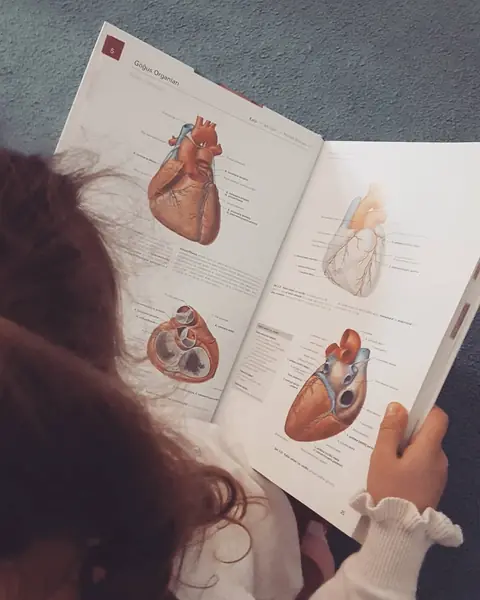 Doktorlarla Organlarımızı Tanıdık