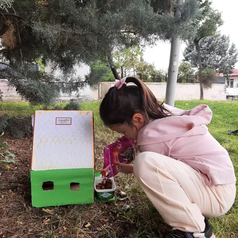 Sokak Hayvanlarına Barınak Yaptık