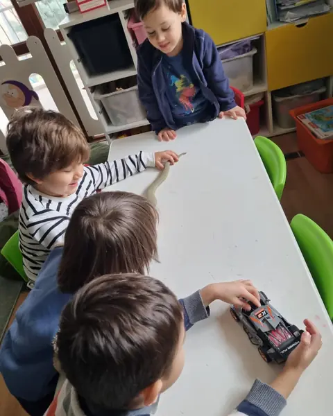 Pedagogumuzla Oyun Zamanı