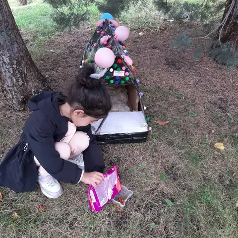 Sokak Hayvanlarına Barınak Yaptık