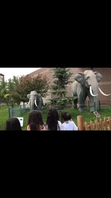 Gezi: dinozor parkı, planetaryum, hayvanlar
